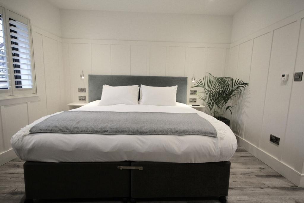 Quinlan & Cooke Boutique Townhouse And Qcs Seafood Restaurant Hotell Cahersiveen Exteriör bild